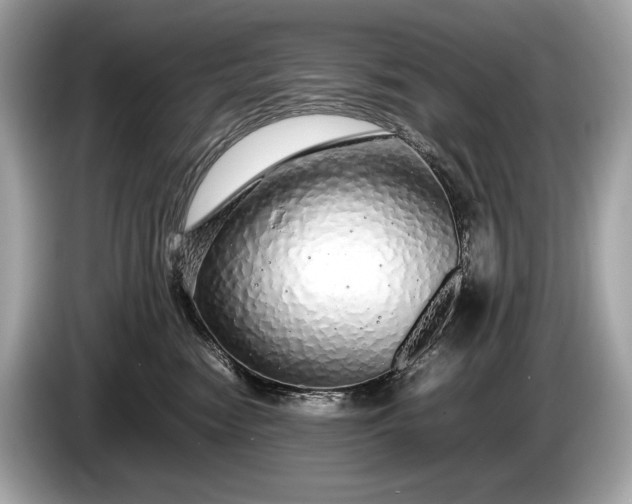 X0000085070474200703191305