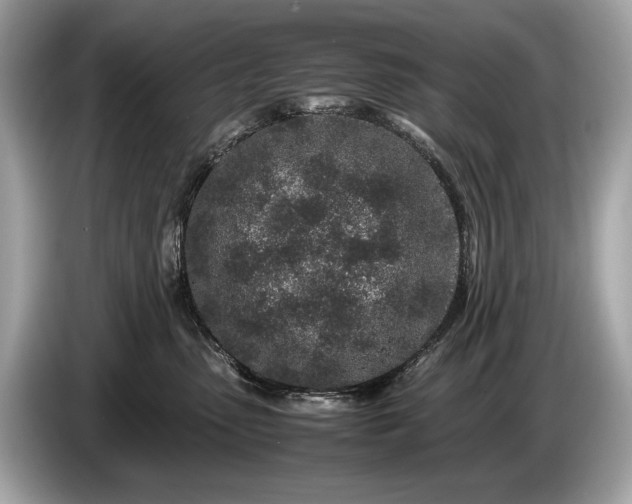 X0000085070475200703191305