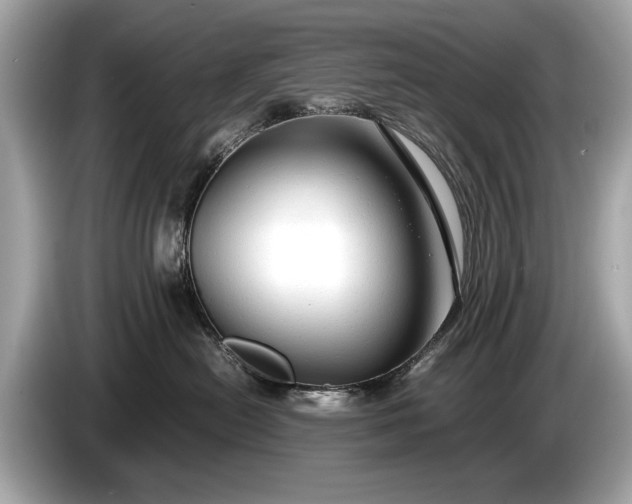 X0000085070478200703191305