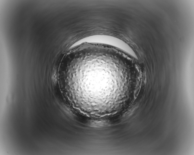 X0000085070479200703191305