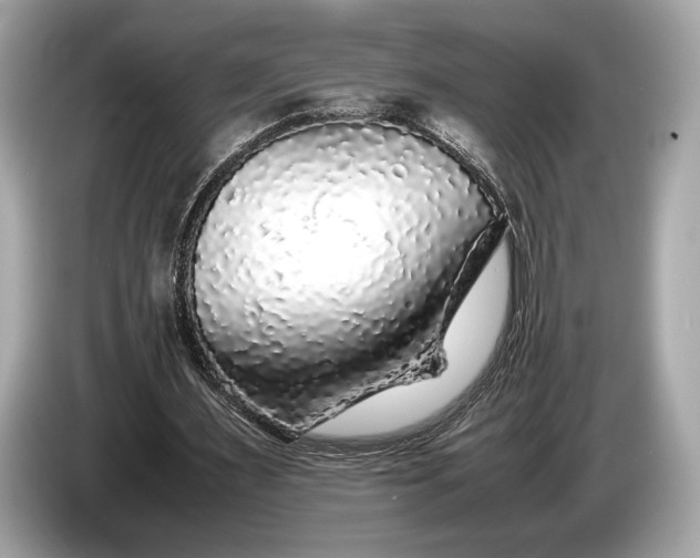 X0000085070483200703191305