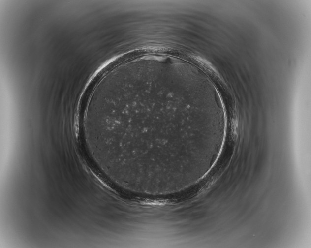 X0000085070484200703191305