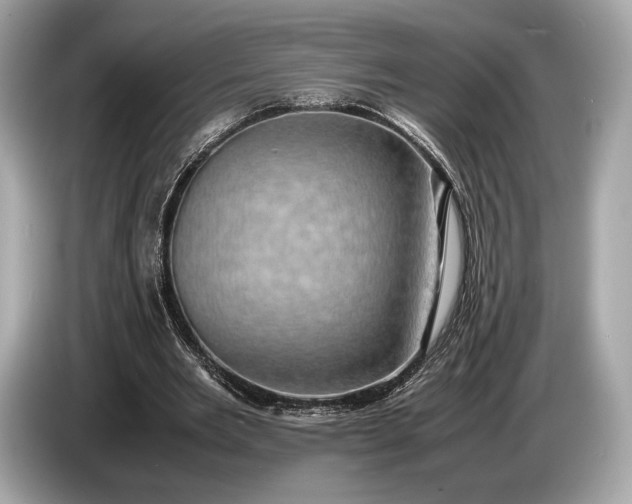 X0000085070485200703191305