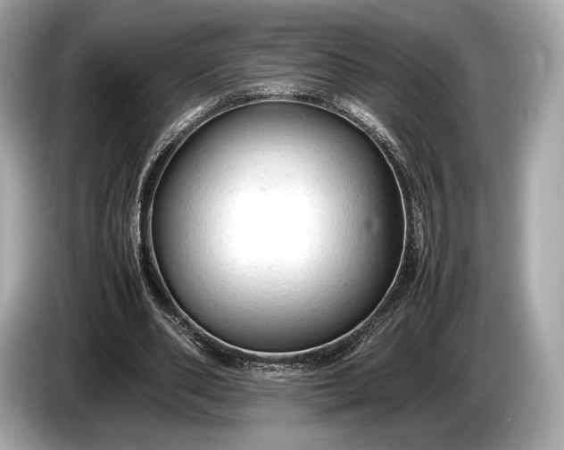 X0000085070486200703191305