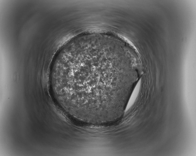 X0000085070487200703191305