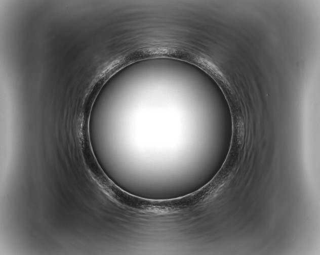 X0000085070490200703191305