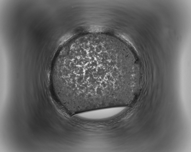 X0000085070491200703191305