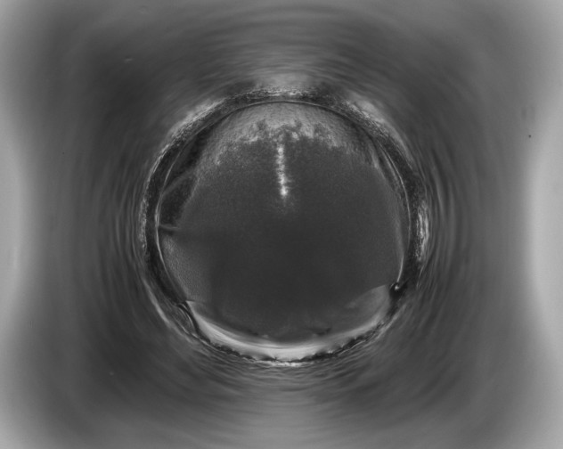 X0000085070492200703191305