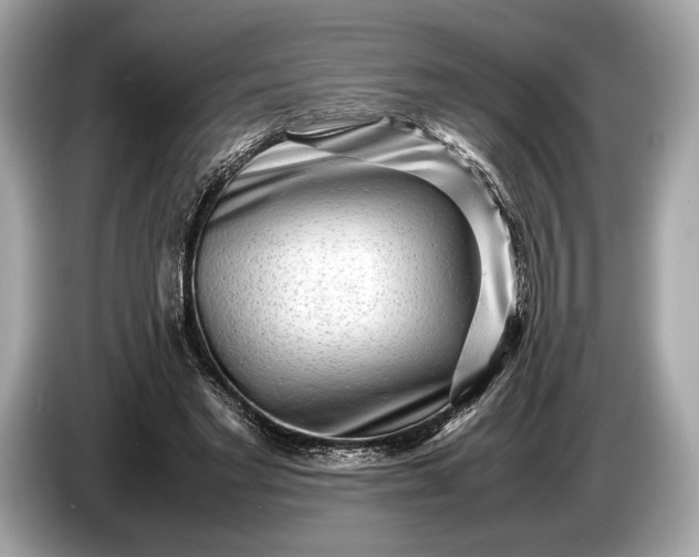 X0000085070493200703191305