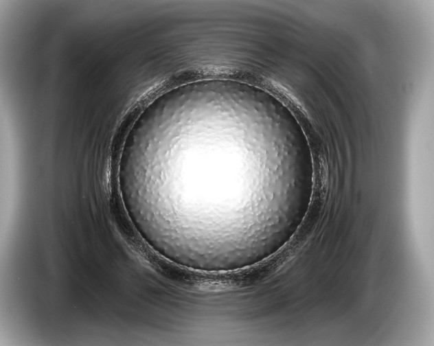 X0000085070494200703191305