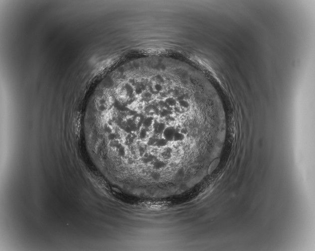 X0000085070495200703191305