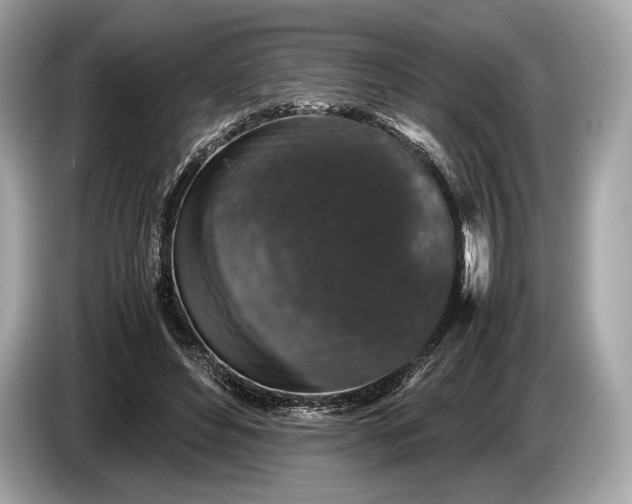 X0000085070496200703191305