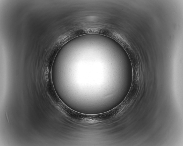 X0000085070498200703191305