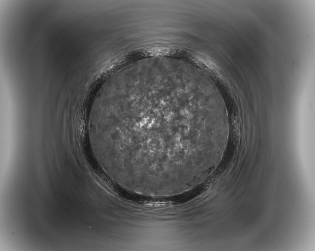 X0000085070499200703191305