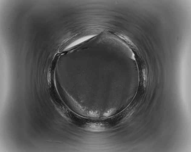 X0000085070500200703191304