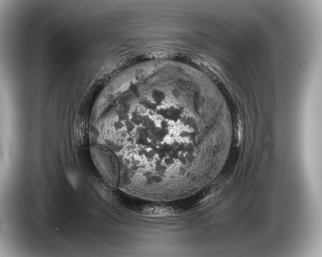 X0000085070503200703191304