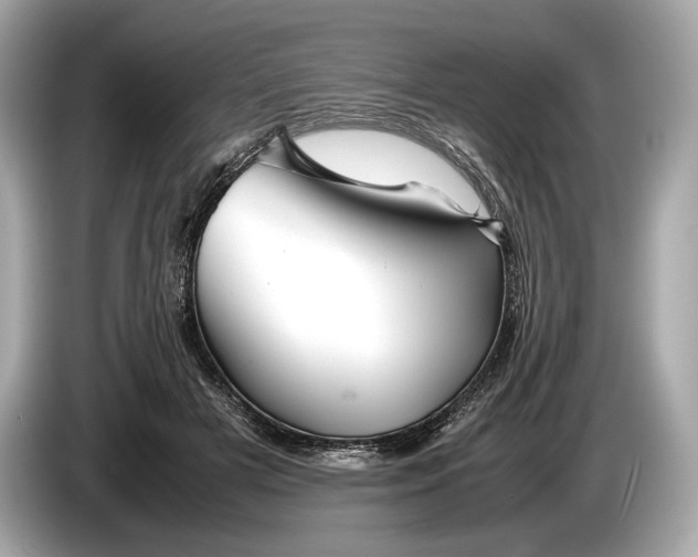 X0000085070505200703191304