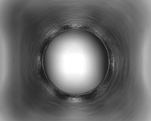 X0000085070506200703191304