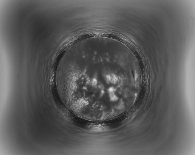 X0000085070507200703191304