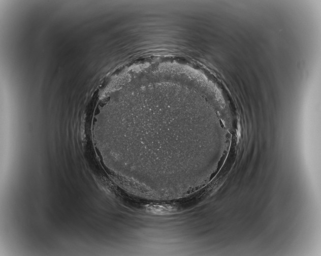 X0000085070512200703191304