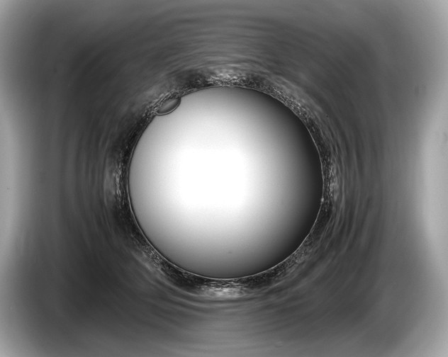 X0000085070514200703191304