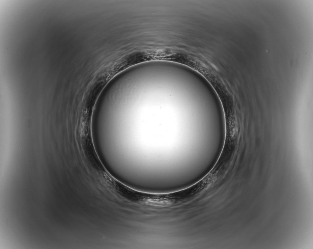 X0000085070515200703191304