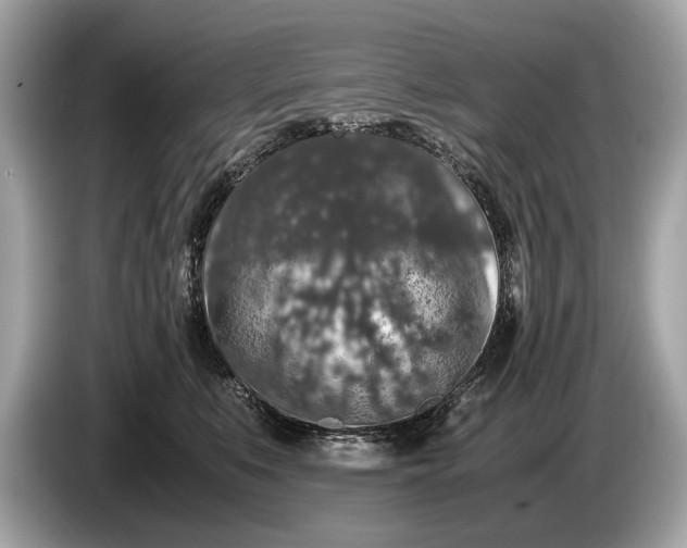 X0000085070519200703191304