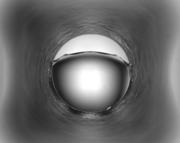 X0000085070521200703191304