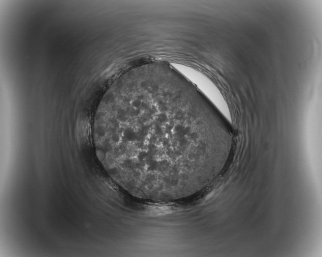 X0000085070523200703191304