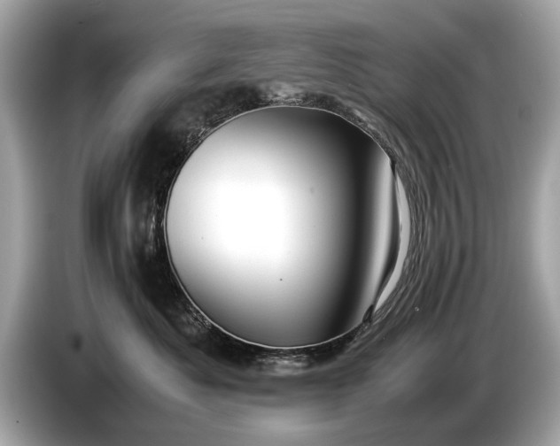 X0000085070525200703191304