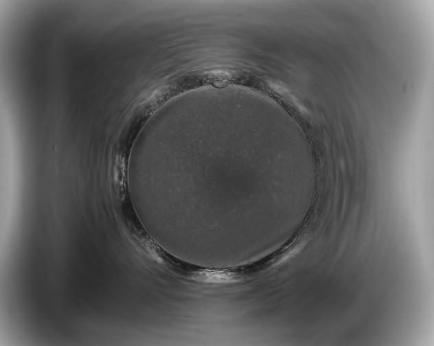 X0000085070528200703191304