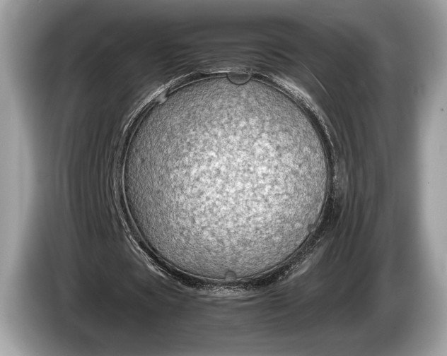 X0000085070529200703191303