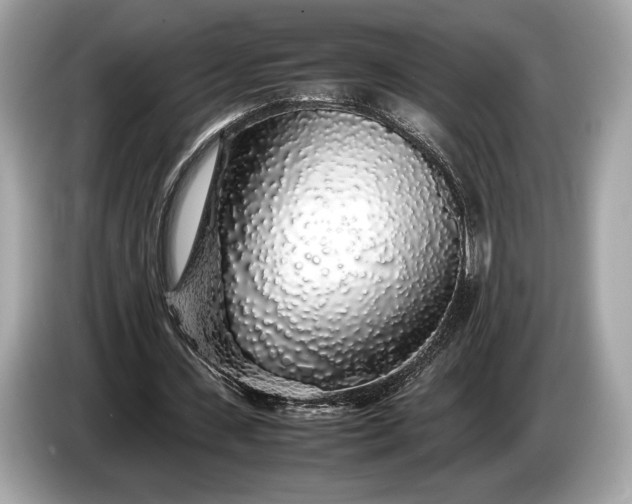 X0000085070531200703191303