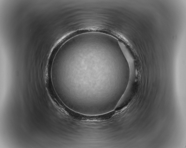 X0000085070532200703191303