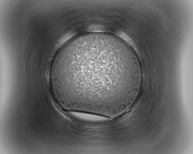 X0000085070533200703191303