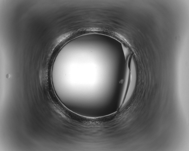 X0000085070535200703191303