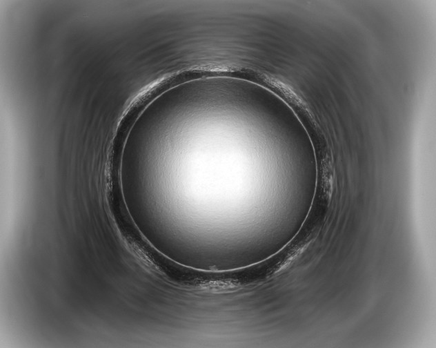 X0000085070536200703191304