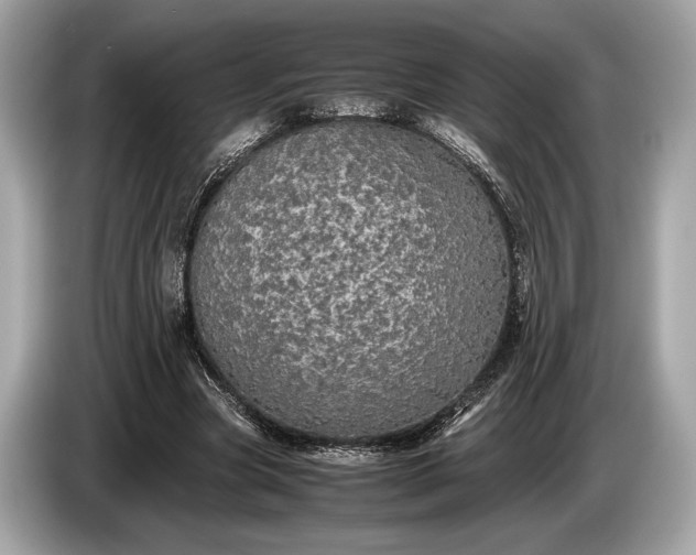 X0000085070537200703191304