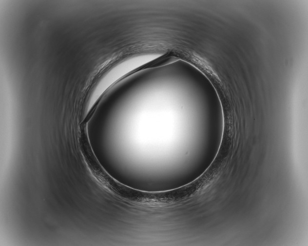 X0000085070538200703191304