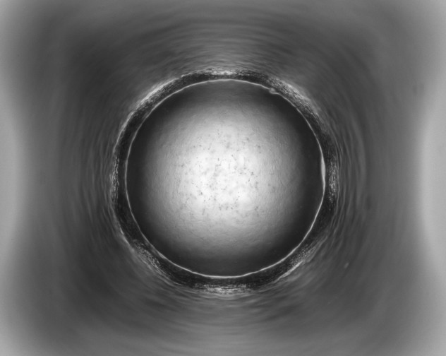 X0000085070540200703191304