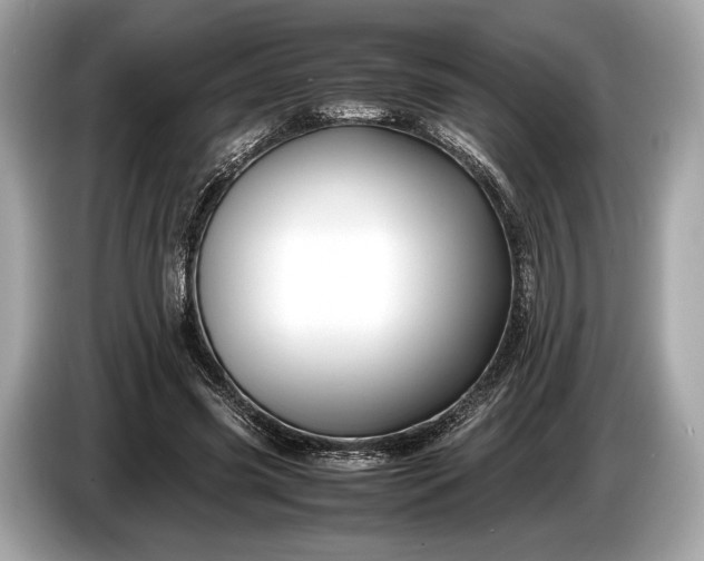 X0000085070541200703191304