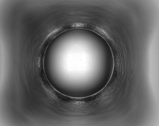 X0000085070543200703191304