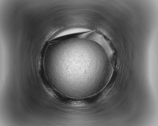 X0000085070544200703191304