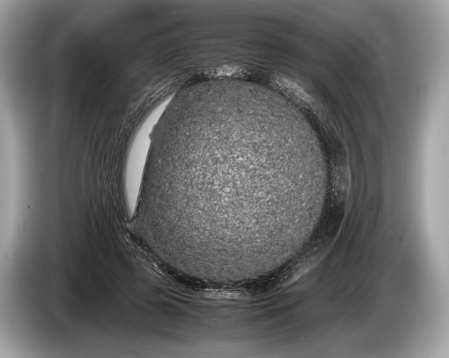 X0000085070545200703191304