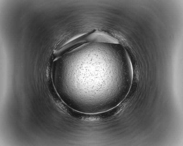 X0000085070546200703191304