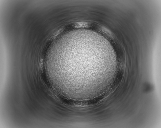 X0000085070549200703191304