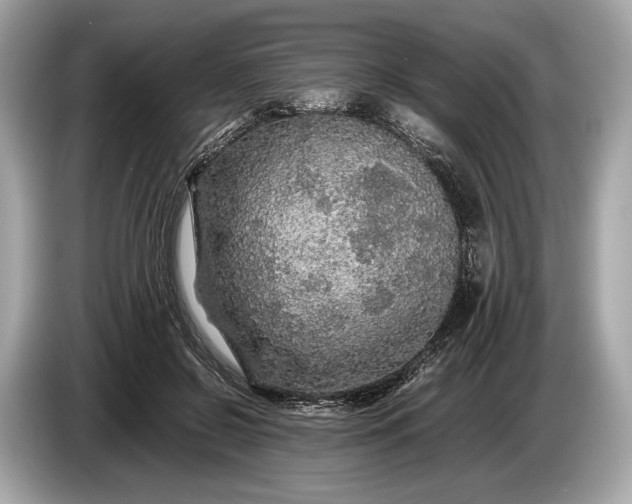 X0000085070550200703191304