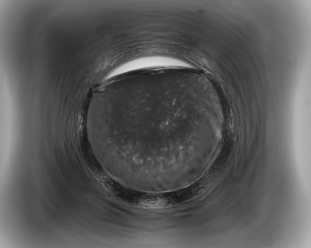 X0000085070551200703191304