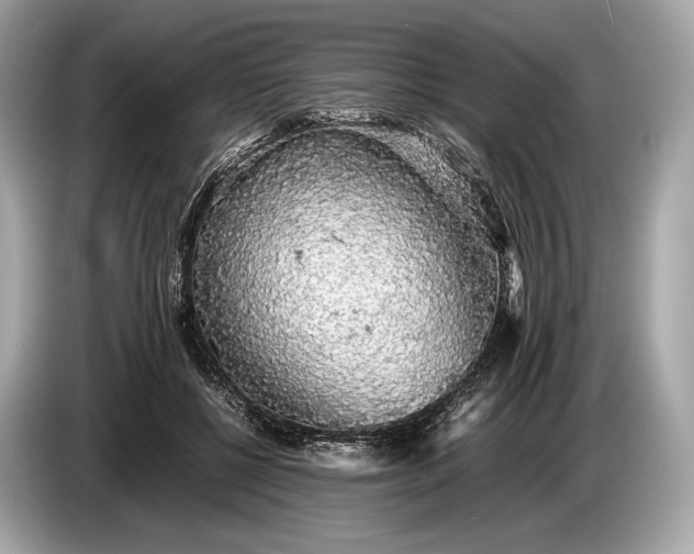 X0000085070552200703191304