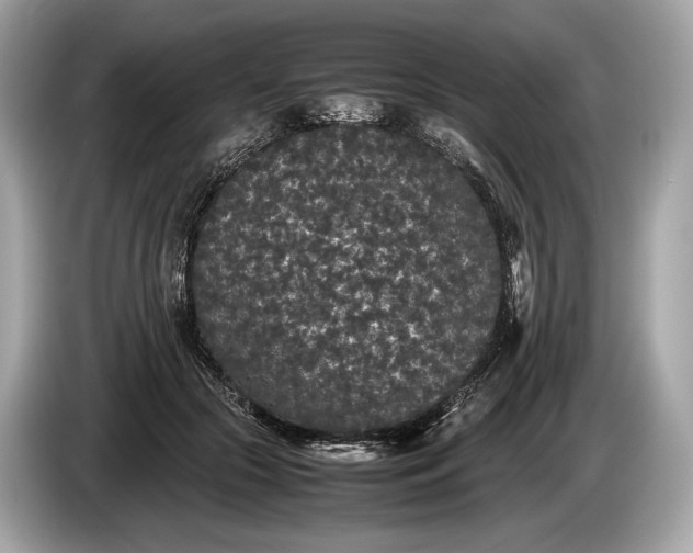 X0000085070553200703191304